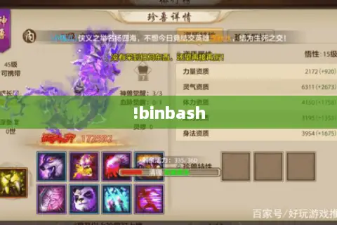 !binbash !binbash