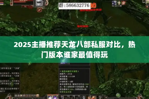 2025主播推荐天龙八部私服对比,热门版本谁家最值得玩 2025主播推荐天龙八部私服对比,热门版本谁家最值得玩