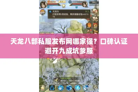 天龙八部私服发布网哪家强?口碑认证避开九成坑爹服 天龙八部私服发布网哪家强?口碑认证避开九成坑爹服