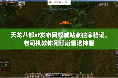 天龙八部sf发布网权威站点独家验证，老司机教你闭眼避雷选神服