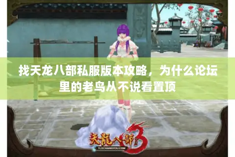找天龙八部私服版本攻略,为什么论坛里的老鸟从不说看置顶 找天龙八部私服版本攻略,为什么论坛里的老鸟从不说看置顶