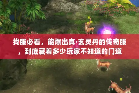 找服必看，能爆出真·玄灵丹的传奇服，到底藏着多少玩家不知道的门道