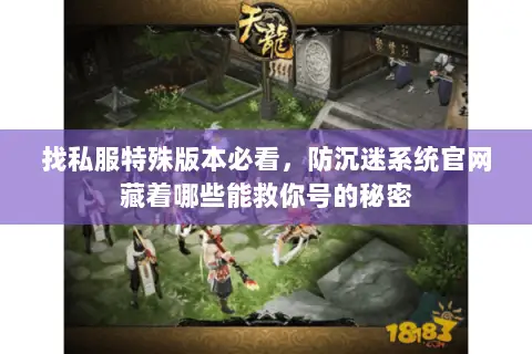 找私服特殊版本必看，防沉迷系统官网藏着哪些能救你号的秘密