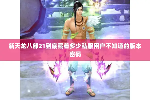 新天龙八部21到底藏着多少私服用户不知道的版本密码 新天龙八部21到底藏着多少私服用户不知道的版本密码