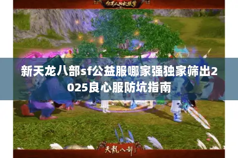 新天龙八部sf公益服哪家强独家筛出2025良心服防坑指南