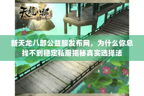 新天龙八部公益服发布网，为什么你总找不到稳定私服揭秘真实选择法