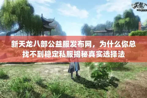 新天龙八部公益服发布网，为什么你总找不到稳定私服揭秘真实选择法
