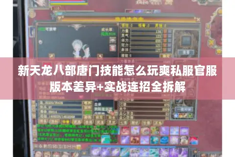 新天龙八部唐门技能怎么玩爽私服官服版本差异+实战连招全拆解
