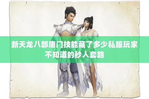新天龙八部唐门技能藏了多少私服玩家不知道的秒人套路