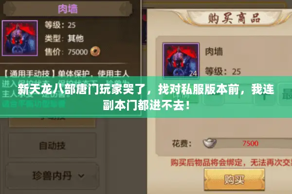 新天龙八部唐门玩家哭了,找对私服版本前,我连副本门都进不去! 新天龙八部唐门玩家哭了,找对私服版本前,我连副本门都进不去!