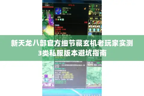 新天龙八部官方细节藏玄机老玩家实测3类私服版本避坑指南