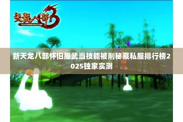 新天龙八部怀旧服武当技能被削秘藏私服排行榜2025独家实测 新天龙八部怀旧服武当技能被削秘藏私服排行榜2025独家实测