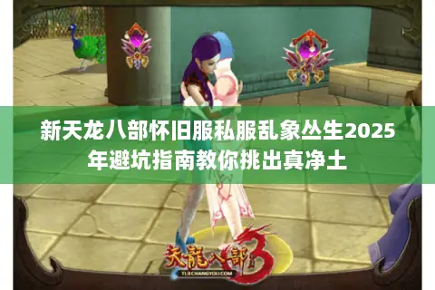 新天龙八部怀旧服私服乱象丛生2025年避坑指南教你挑出真净土 新天龙八部怀旧服私服乱象丛生2025年避坑指南教你挑出真净土