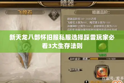 新天龙八部怀旧服私服选择踩雷玩家必看3大生存法则 新天龙八部怀旧服私服选择踩雷玩家必看3大生存法则
