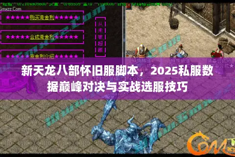 新天龙八部怀旧服脚本,2025私服数据巅峰对决与实战选服技巧 新天龙八部怀旧服脚本,2025私服数据巅峰对决与实战选服技巧