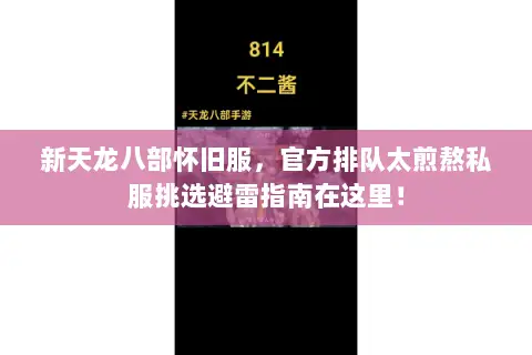 新天龙八部怀旧服，官方排队太煎熬私服挑选避雷指南在这里！