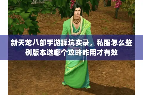新天龙八部手游踩坑实录，私服怎么鉴别版本选哪个攻略咋用才有效