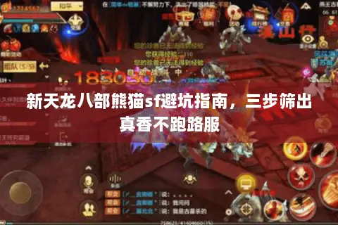 新天龙八部熊猫sf避坑指南，三步筛出真香不跑路服