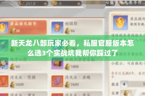 新天龙八部玩家必看,私服官服版本怎么选3个实战坑我帮你踩过了 新天龙八部玩家必看,私服官服版本怎么选3个实战坑我帮你踩过了