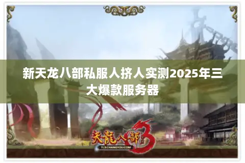 新天龙八部私服人挤人实测2025年三大爆款服务器 新天龙八部私服人挤人实测2025年三大爆款服务器