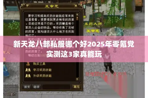 新天龙八部私服哪个好2025年零氪党实测这3家真能玩