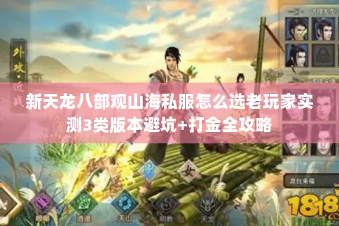 新天龙八部观山海私服怎么选老玩家实测3类版本避坑+打金全攻略 新天龙八部观山海私服怎么选老玩家实测3类版本避坑+打金全攻略