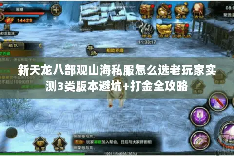 新天龙八部观山海私服怎么选老玩家实测3类版本避坑+打金全攻略 新天龙八部观山海私服怎么选老玩家实测3类版本避坑+打金全攻略