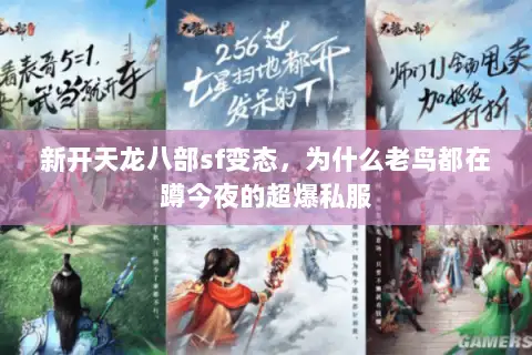 新开天龙八部sf变态，为什么老鸟都在蹲今夜的超爆私服