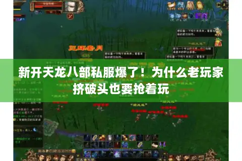 新开天龙八部私服爆了!为什么老玩家挤破头也要抢着玩 新开天龙八部私服爆了!为什么老玩家挤破头也要抢着玩