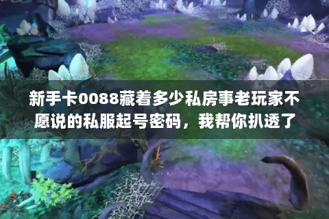 新手卡0088藏着多少私房事老玩家不愿说的私服起号密码,我帮你扒透了 新手卡0088藏着多少私房事老玩家不愿说的私服起号密码,我帮你扒透了