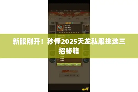 新服刚开!秒懂2025天龙私服挑选三招秘籍 新服刚开!秒懂2025天龙私服挑选三招秘籍