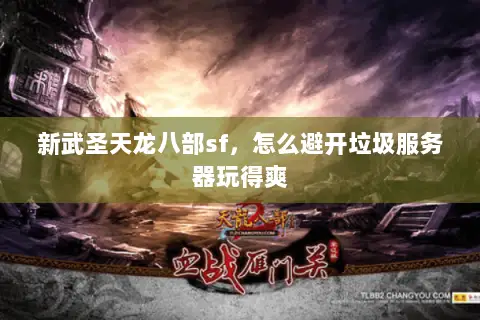 新武圣天龙八部sf，怎么避开垃圾服务器玩得爽
