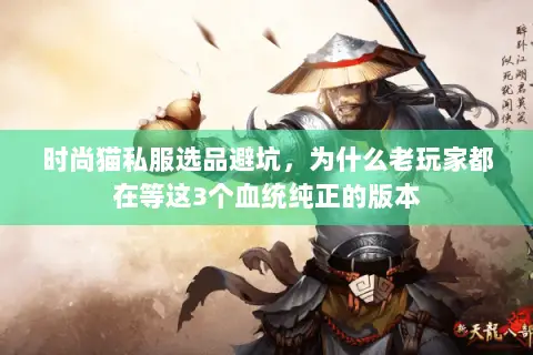 时尚猫私服选品避坑，为什么老玩家都在等这3个血统纯正的版本