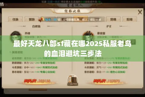 最好天龙八部sf藏在哪2025私服老鸟的血泪避坑三步法 最好天龙八部sf藏在哪2025私服老鸟的血泪避坑三步法