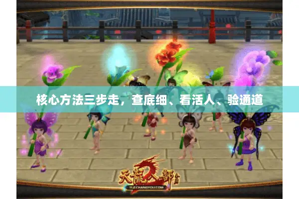 核心方法三步走，查底细、看活人、验通道