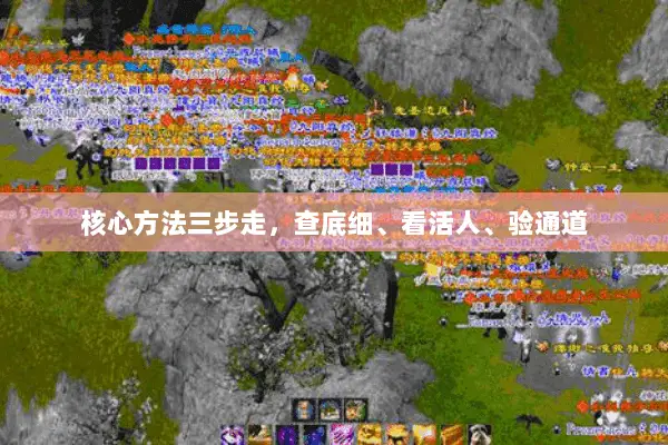 核心方法三步走，查底细、看活人、验通道