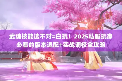 武魂技能选不对=白玩!2025私服玩家必看的版本适配+实战调校全攻略 武魂技能选不对=白玩!2025私服玩家必看的版本适配+实战调校全攻略