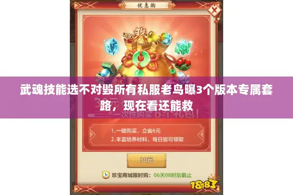 武魂技能选不对毁所有私服老鸟曝3个版本专属套路,现在看还能救 武魂技能选不对毁所有私服老鸟曝3个版本专属套路,现在看还能救