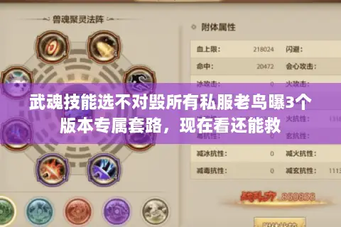 武魂技能选不对毁所有私服老鸟曝3个版本专属套路,现在看还能救 武魂技能选不对毁所有私服老鸟曝3个版本专属套路,现在看还能救