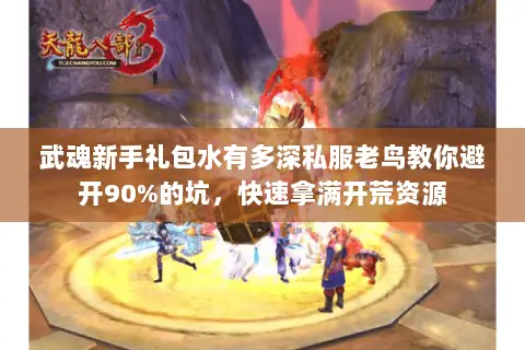 武魂新手礼包水有多深私服老鸟教你避开90%的坑，快速拿满开荒资源