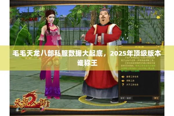 毛毛天龙八部私服数据大起底,2025年顶级版本谁称王 毛毛天龙八部私服数据大起底,2025年顶级版本谁称王