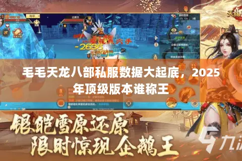 毛毛天龙八部私服数据大起底,2025年顶级版本谁称王 毛毛天龙八部私服数据大起底,2025年顶级版本谁称王