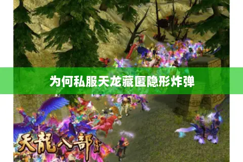 为何私服天龙藏匿隐形炸弹 为何私服天龙藏匿隐形炸弹