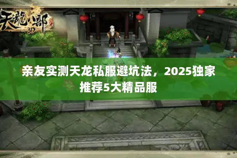 亲友实测天龙私服避坑法，2025独家推荐5大精品服