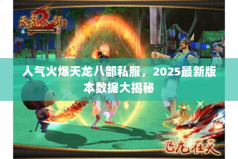人气火爆天龙八部私服,2025最新版本数据大揭秘 人气火爆天龙八部私服,2025最新版本数据大揭秘