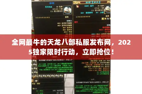 全网最牛的天龙八部私服发布网,2025独家限时行动,立即抢位! 全网最牛的天龙八部私服发布网,2025独家限时行动,立即抢位!