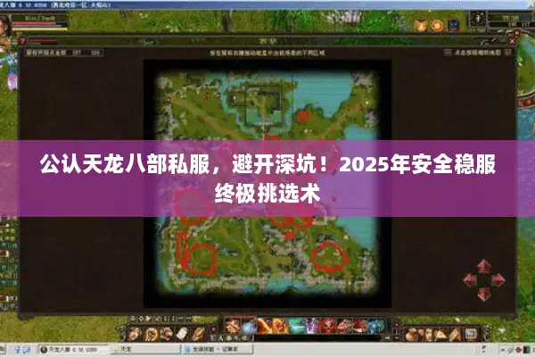 公认天龙八部私服,避开深坑!2025年安全稳服终极挑选术 公认天龙八部私服,避开深坑!2025年安全稳服终极挑选术