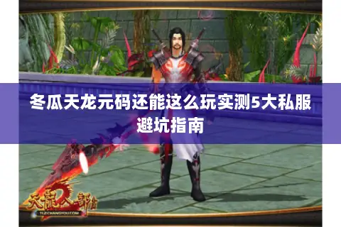 冬瓜天龙元码还能这么玩实测5大私服避坑指南 冬瓜天龙元码还能这么玩实测5大私服避坑指南