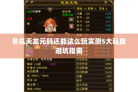 冬瓜天龙元码还能这么玩实测5大私服避坑指南 冬瓜天龙元码还能这么玩实测5大私服避坑指南