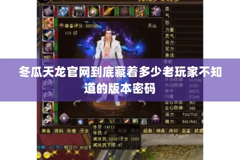 冬瓜天龙官网到底藏着多少老玩家不知道的版本密码 冬瓜天龙官网到底藏着多少老玩家不知道的版本密码